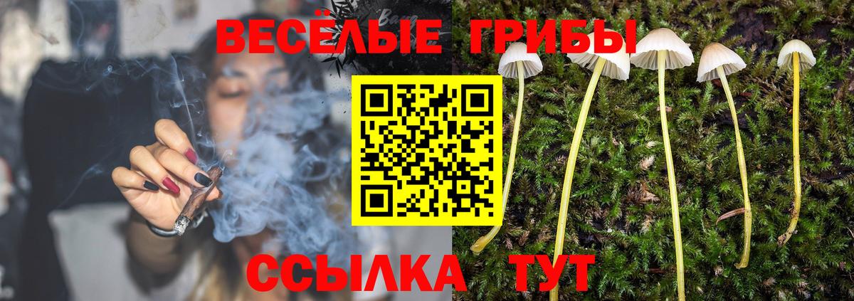 Псилоцибиновые грибы GOLDEN TEACHER  Вход с VPN  Артём 